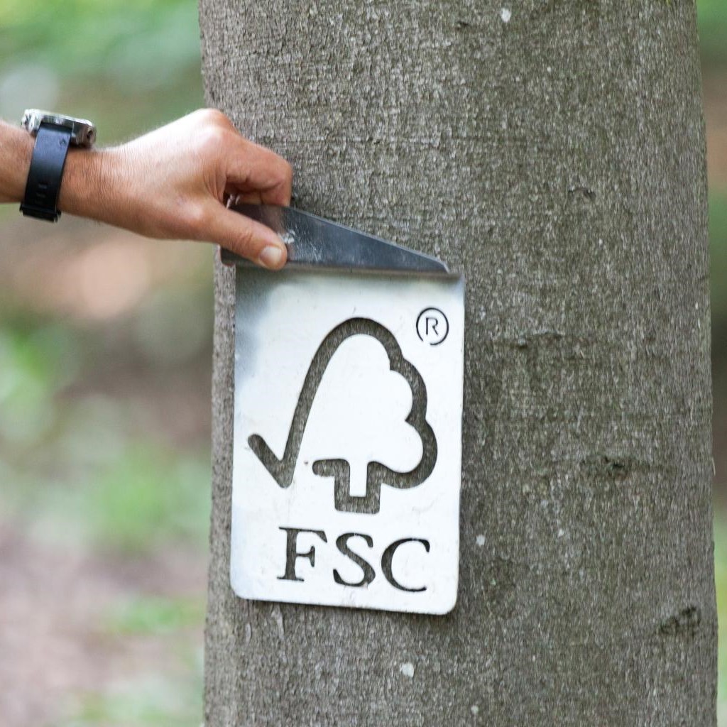 شجرة الفحص FSC