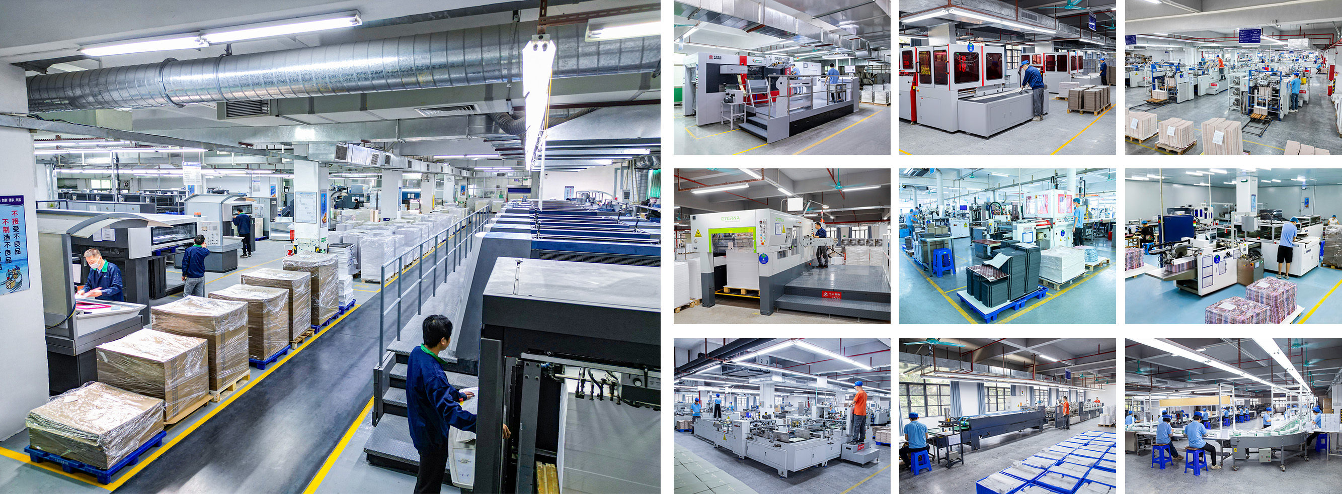 معدات الشركة المصنعة للتغليف المخصصة