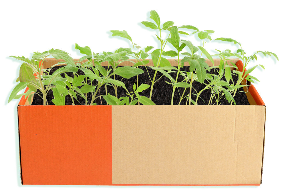 مربع الورق المقوى إعادة استخدام